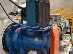 Double-Shaft Shear Shredder